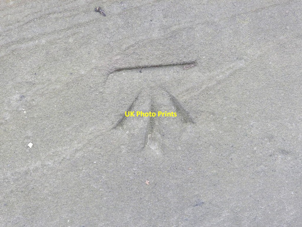 Photo 6"x4" Winsford, Churchyard gatepost cut mark Winsford\/SJ6566 c2016