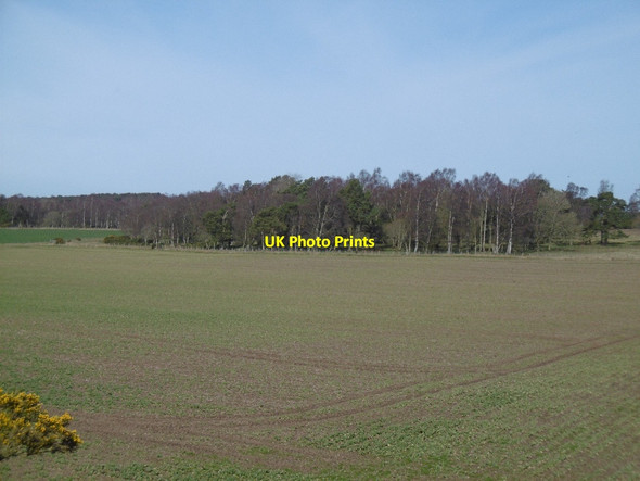 Photo 6"x4" Arable land, Newdyke Hillend\/NO4848 c2016