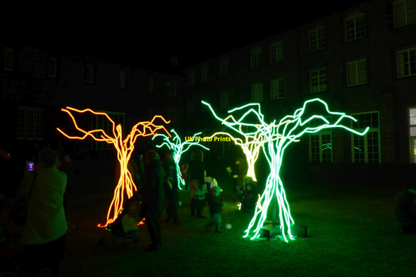 Photo 6"x4" Illuminating York 2016 - York St. John trees York\/SE5951 c2016