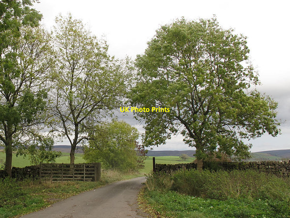 Photo 6"x4" Open gate, Halton East Halton East c2016