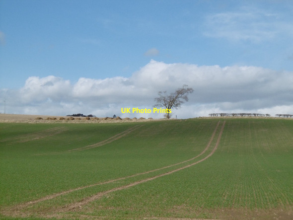 Photo 6"x4" Arable land, Dumbarrow Cononsyth c2016