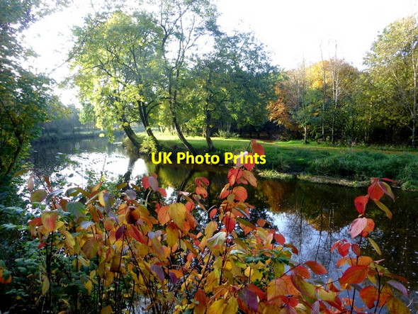 Photo 6"x4" Camowen River, Mullaghmore Omagh c2016