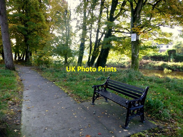Photo 6"x4" Pathway, Cranny Picnic Area Omagh c2016