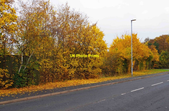 Photo 6"x4" Autumnal colours (1), Discovery Road, Stourport-on-Severn Stourport-on-Severn c2016