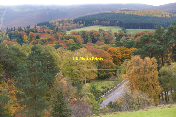 Photo 6"x4" Crownhead Bridge and autumnal trees Bellspool c2016