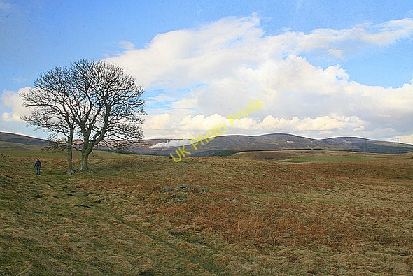 Photo 6"x4" Path to Auchnacree Auchnacree c2009