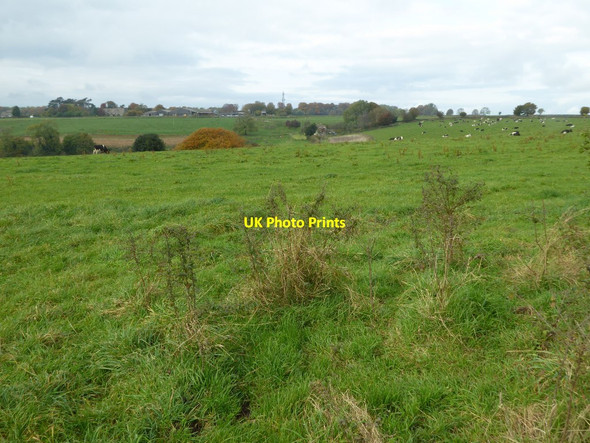 Photo 6"x4" Farmland near Symonds' Hall Farm Bagpath\/ST8094 c2016
