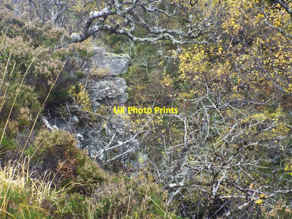 Photo 6"x4" The edge of a gorge on River Canaird near Ullapool Doire an Fh\u00f9dair c2016