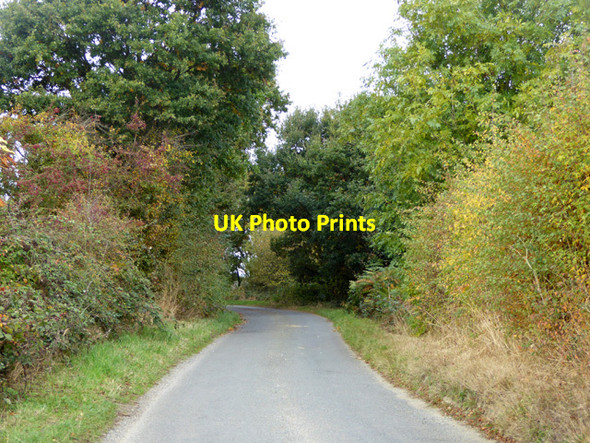 Photo 6"x4" Hilliards Road Great Bromley c2016