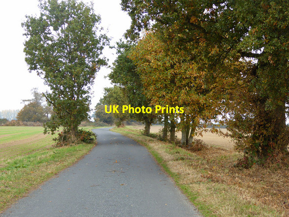 Photo 6"x4" Chequers Road Little Bromley c2016