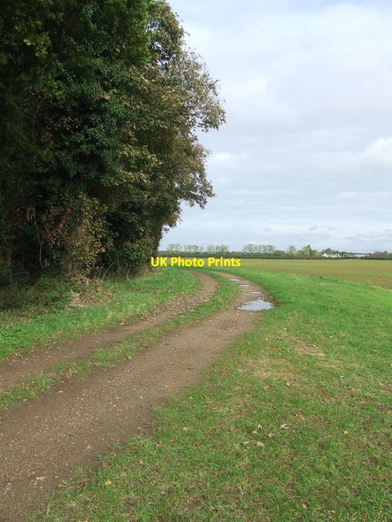 Photo 6"x4" Footpath And Track Chippenham\/TL6669 c2016