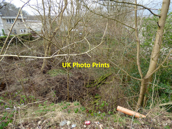 Photo 6"x4" Former Potterhill Branch railway line Paisley c2016 P1