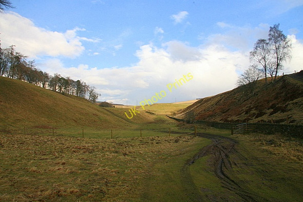 Photo 6"x4" Den, Auchnacree Auchnacree c2009