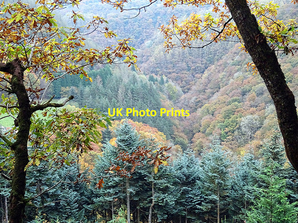 Photo 6"x4" Cwm Rheidol Devil's Bridge\/Pontarfynach c2016