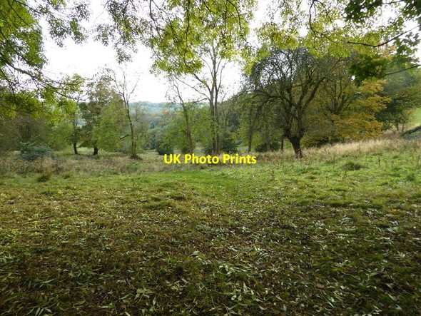 Photo 6"x4" Valley below Newark Park Wotton-under-Edge c2016