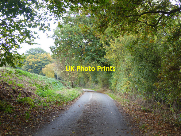 Photo 6"x4" Mill Lane Bradfield\/TM1430 c2016