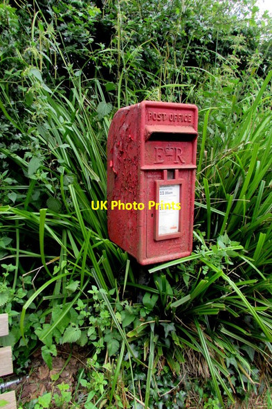 Photo 6"x4" Queen Elizabeth II postbox amid greenery in Coughton Coughton\/SO5921 c2016