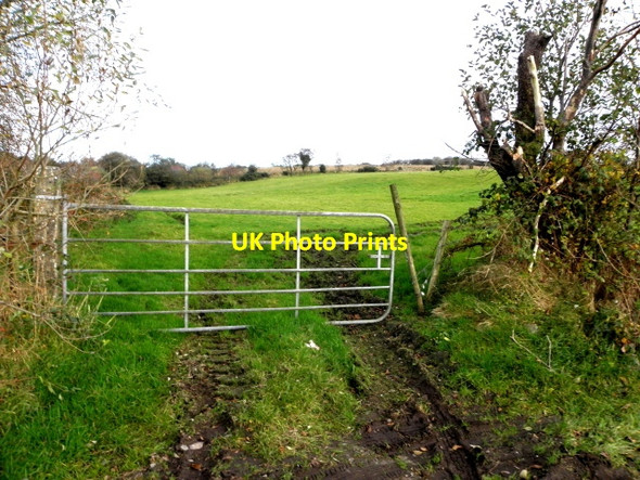 Photo 6"x4" Gate, Ballymullarty \/ Lisnafin Newtownstewart c2016