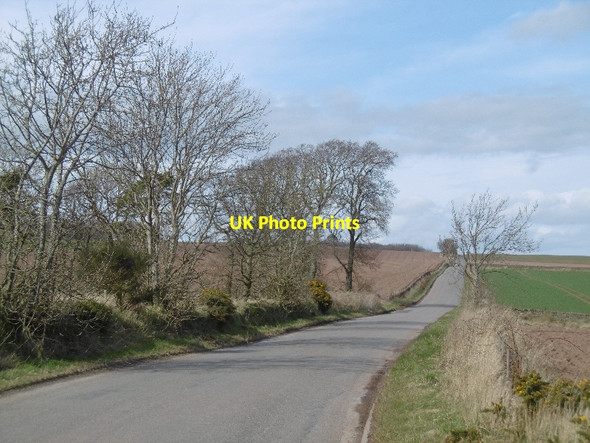 Photo 6"x4" Road passing Grange of Conon Redford\/NO5644 c2016
