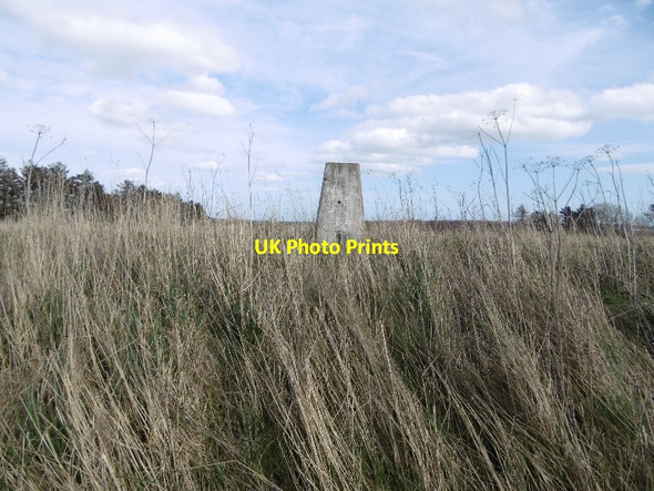 Photo 6"x4" Muirheads Reservoir triangulation pillar Colliston\/NO6045 c2016