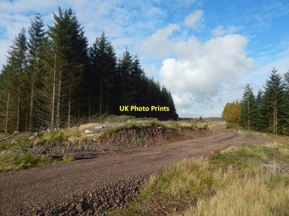 Photo 6"x4" Track to the Black Linn Reservoir Milton\/NS4274 c2016