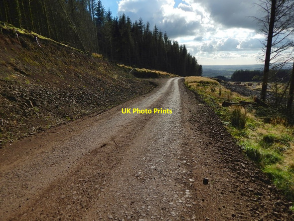 Photo 6"x4" Forestry track near Brown Hill Milton\/NS4274 c2016