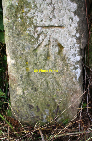 Photo 6"x4" Benchmark on Watlass Lane gatepost Thornton Watlass c2016