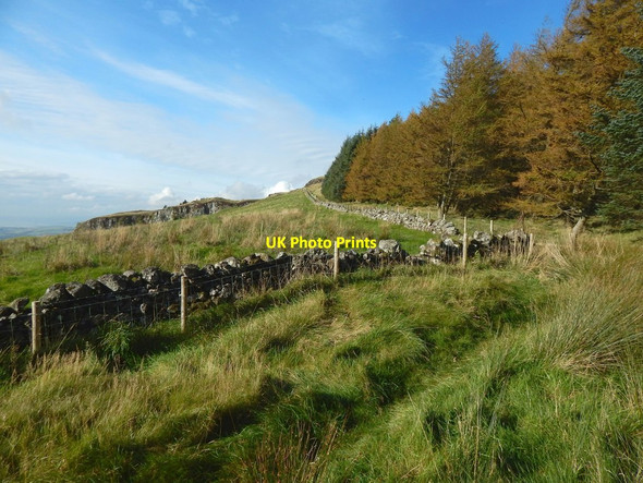 Photo 6"x4" Corner of a dry-stone wall Milton\/NS4274 c2016