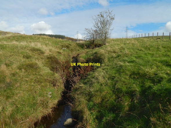 Photo 6"x4" Burn beside footpath Milton\/NS4274 c2016