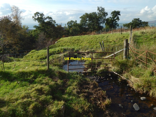Photo 6"x4" Burn beside the Crags Circular Path Milton\/NS4274 c2016