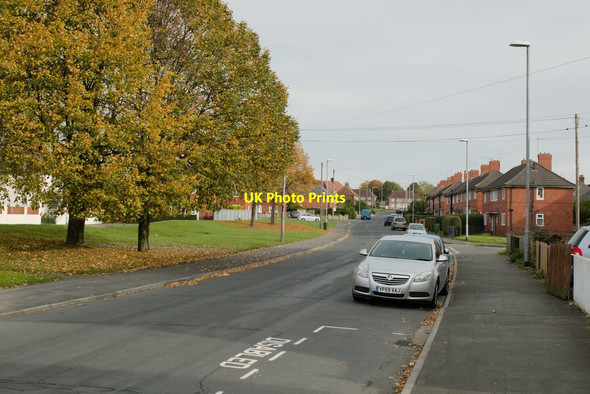 Photo 6"x4" Moresdale Lane, Killingbeck Parklands\/SE3535 c2016