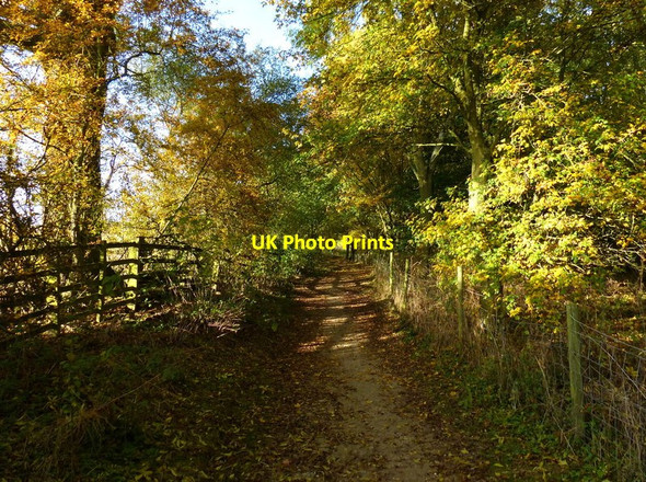 Photo 6"x4" Rutland Water Circular Route Gunthorpe\/SK8605 c2016