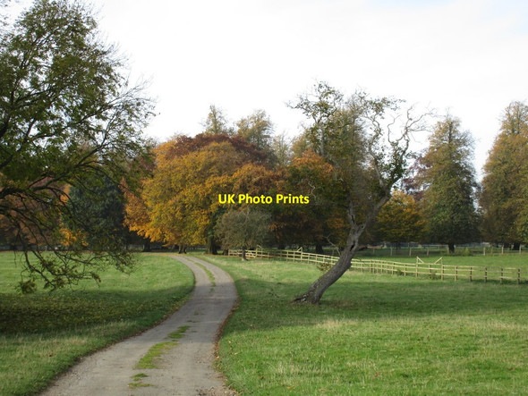Photo 6"x4" Byway through the park at Willaston Fringford c2016