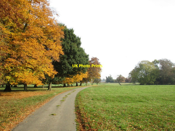 Photo 6"x4" Willaston Park in the autumn Fringford c2016