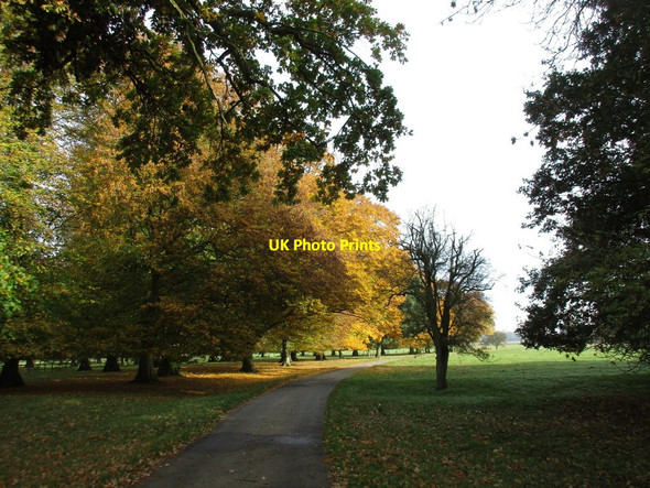 Photo 6"x4" Autumn, Willaston Park Hethe\/SP5929 c2016