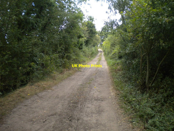 Photo 6"x4" Wolds Lane north of Cotgrave Forest Clipston\/SK6334 c2016