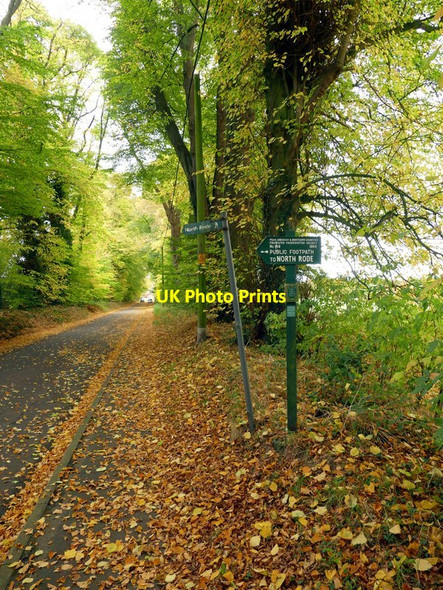 Photo 6"x4" Peak & Northern Footpaths Society sign no. 149 Gawsworth c2016