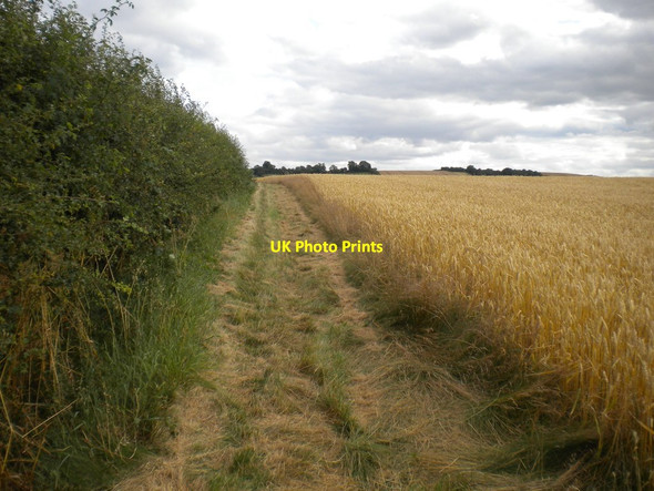 Photo 6"x4" Footpath to Clipston Clipston\/SK6334 c2016