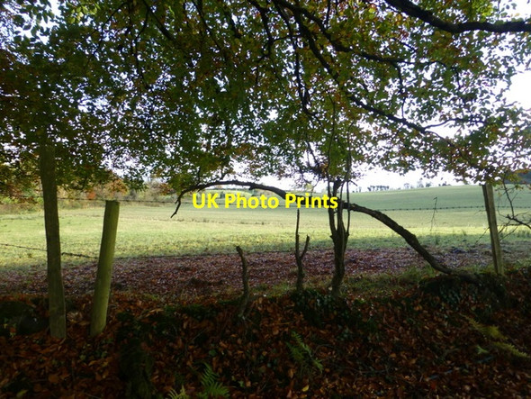 Photo 6"x4" Donaghanie Townland Omagh c2016