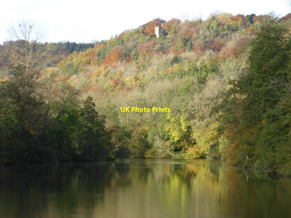 Photo 6"x4" Middle Pond, Woodchester Park #1 Nailsworth c2016