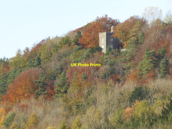 Photo 6"x4" The Tower, Woodchester Park Cockadilly c2016