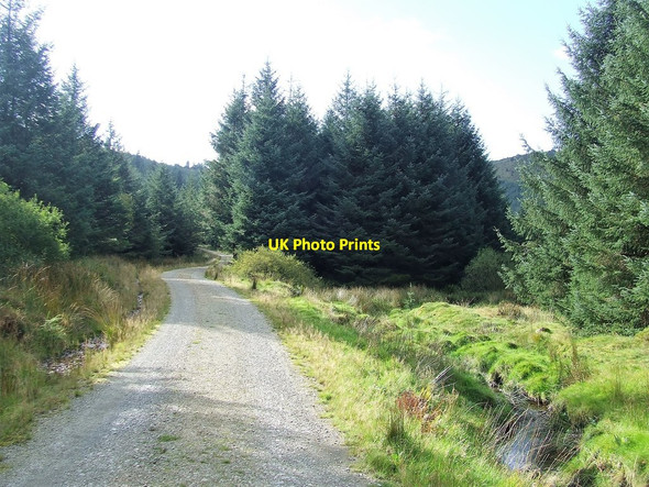 Photo 6"x4" Forest Stream Rhyd-Ddu\/SH5652 c2016