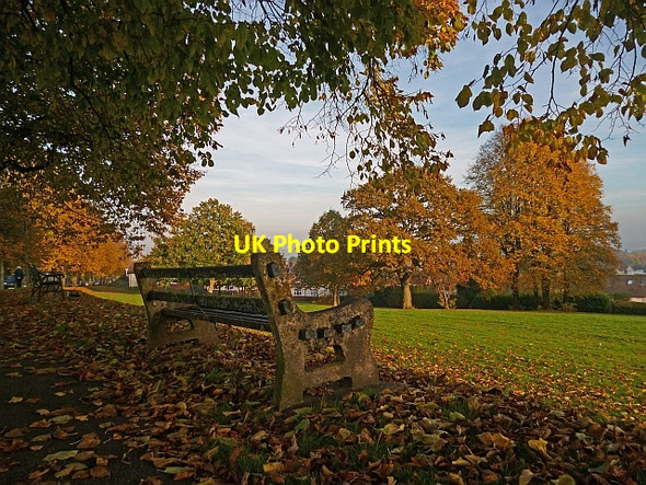 Photo 6"x4" Autumn on Ridgeway, Newport Newport\/Casnewydd c2016