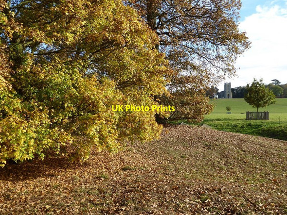 Photo 6"x4" Autumn colours in Croome Park High Green\/SO8745 c2016