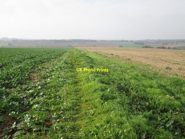 Photo 6"x4" Footpath to Whitedell Lane Boarhunt c2016