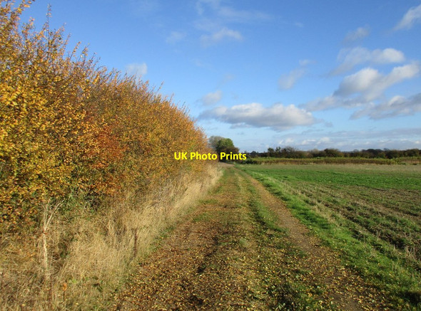 Photo 6"x4" Stonepit Lane and the Viking Way Hougham c2016