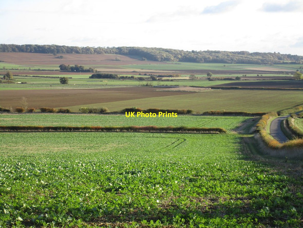 Photo 6"x4" View from near Red House Gelston\/SK9145 c2016