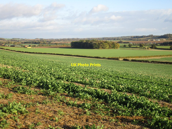Photo 6"x4" View towards Slightland Plantation Honington\/SK9443 c2016