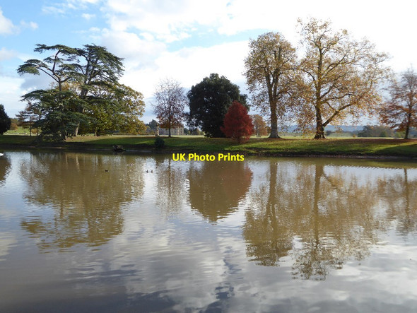 Photo 6"x4" Trees reflected in the lake at Croome High Green\/SO8745 c2016