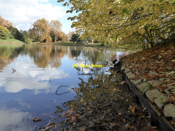 Photo 6"x4" Lake bank, Croome Park High Green\/SO8745 c2016